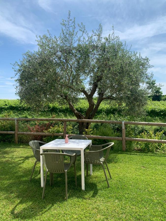 Residenza Vesentini Bed & Breakfast Pastrengo Dış mekan fotoğraf